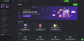 Exploring the World of Casino Bc Game A Comprehensive Guide
