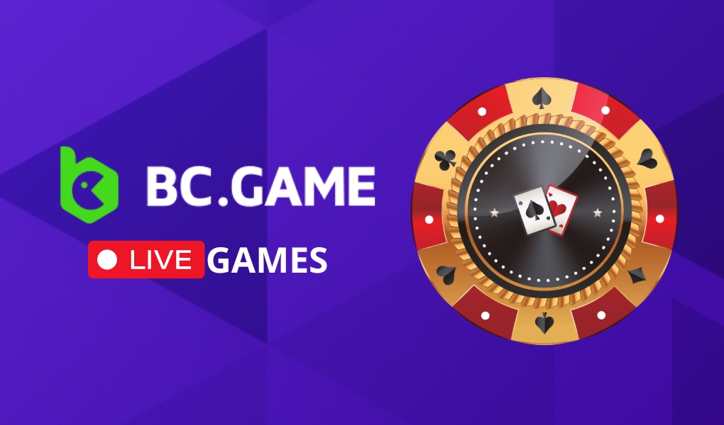 Discover the Top BC Fun Mirror Experience
