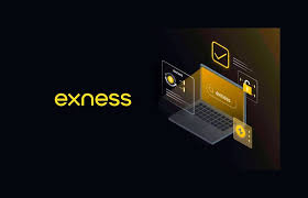 Exploring the Features of Exness Web Platform 1